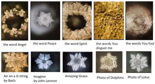 Emoto Water Experiment