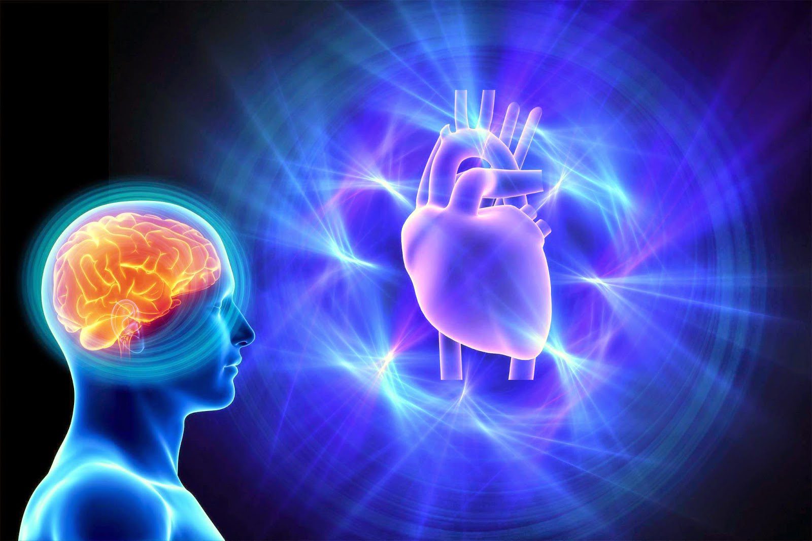brain and heart coherence